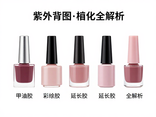延长胶的结构支撑与塑形逻辑