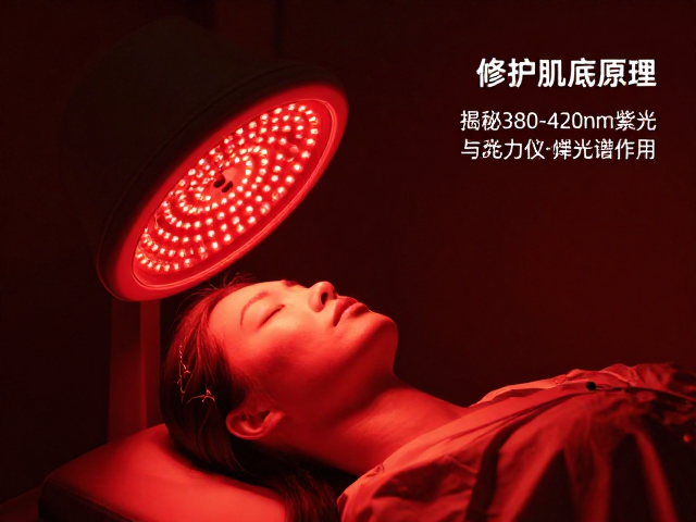 380-420nm紫光的光动力净化机制