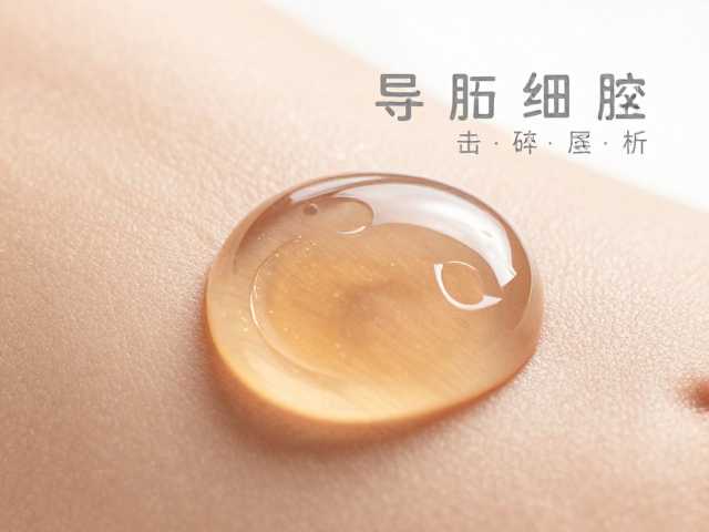 代谢产物的清除与生理响应