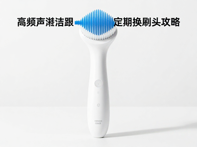刷头更换周期与维护保养