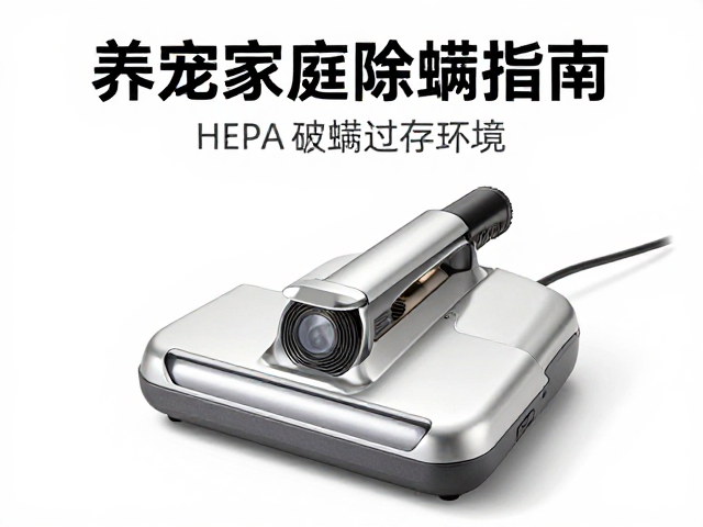 构建低敏家居的日常维护体系
