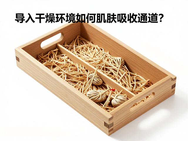 导入技术的物理机制与安全性边界