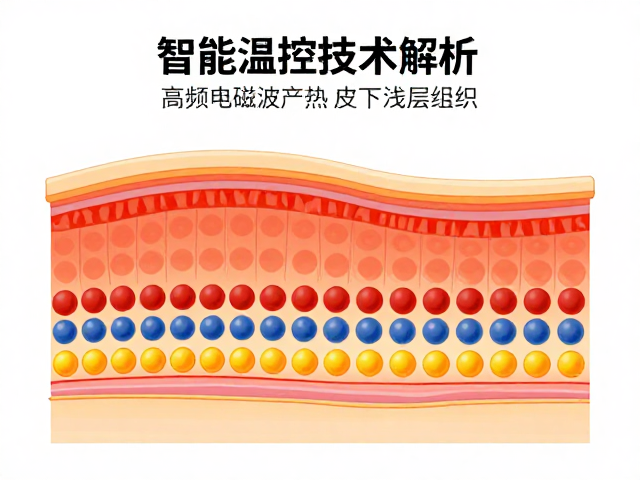 组织分层加热与浅层靶点的协同效应