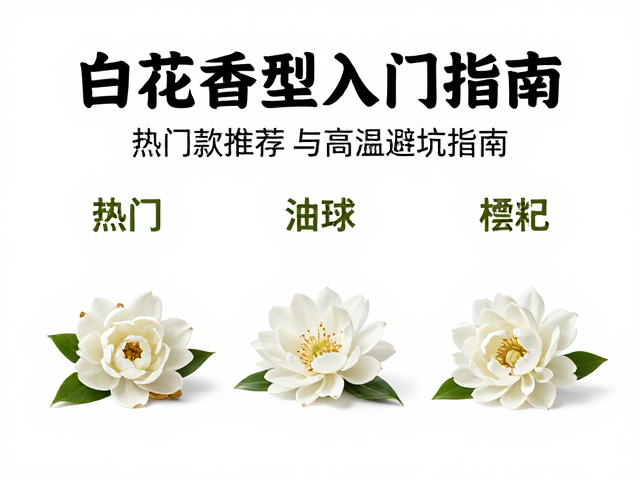 白花香型的场景适配与日常搭配建议