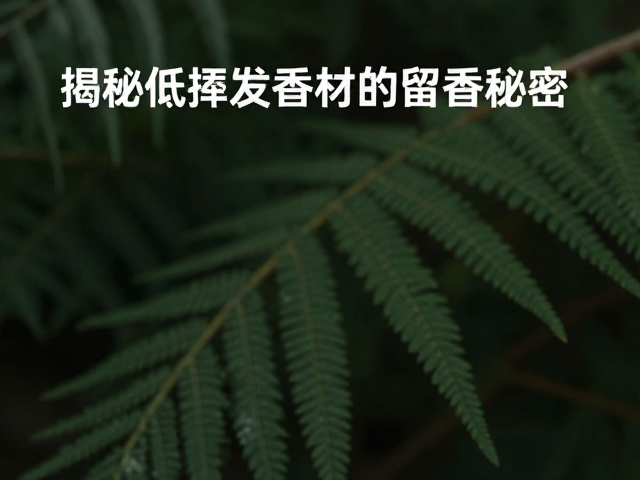 低挥发香材的留香机制解析