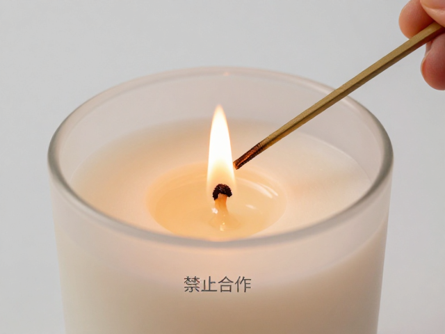 燃烧过程中的安全与环境调节
