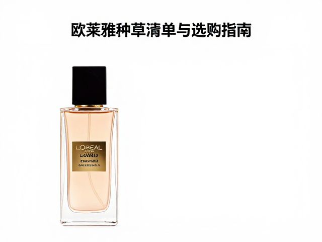 使用技巧与场景化搭配建议