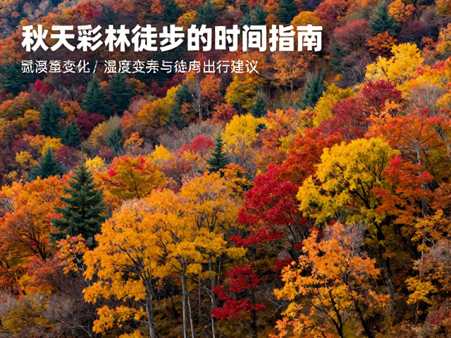 秋季彩林徒步最佳时间指南,湿度变化与出行建议