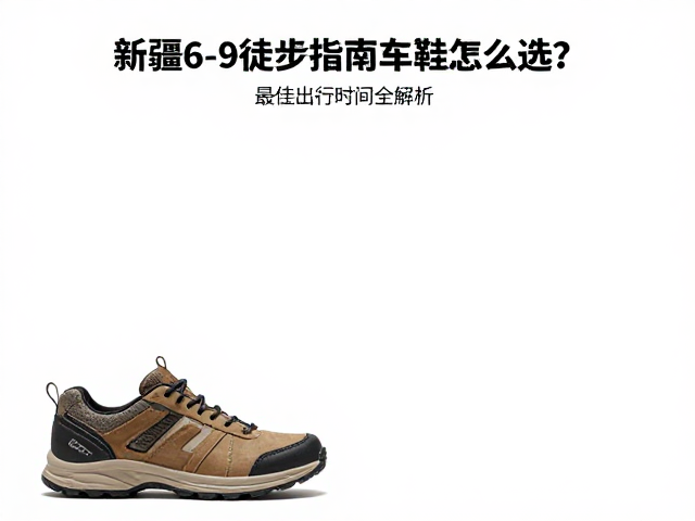 最佳出行时间与路线选择策略
