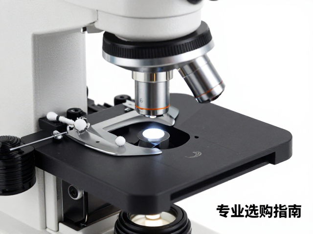 电子显微镜，清洁棉签，螺丝刀套装，专业维修工具选购指南