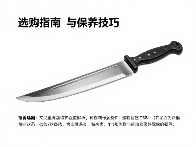 文武刀整刀重量与易维护程度解析，选购指南与保养技巧
