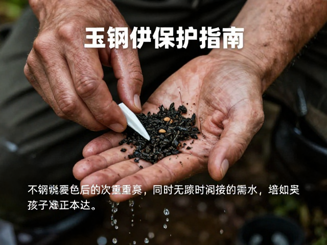 玉钢保养指南，狩猎活动后如何避免长期接触水分
