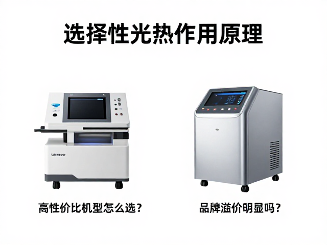 品牌溢价现象的分析与价值评估