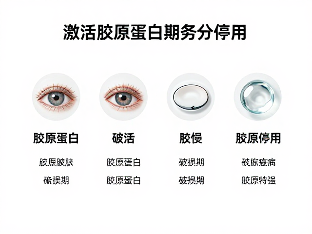 胶原蛋白激活的科学路径与成分选择