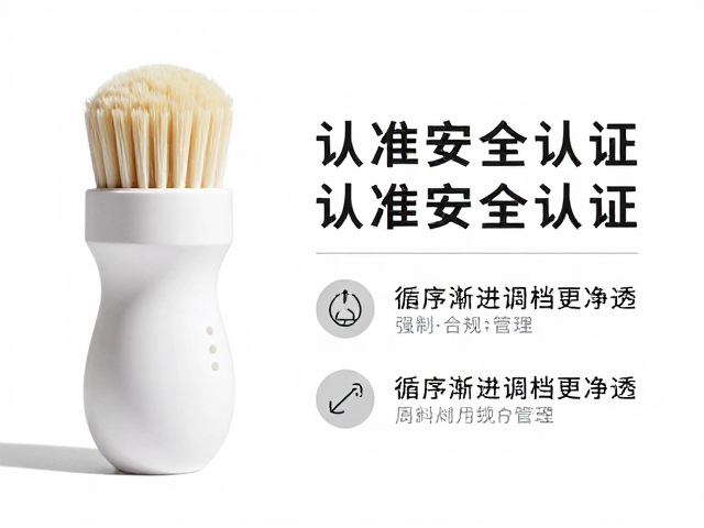 刷头材质与更换周期的科学管理