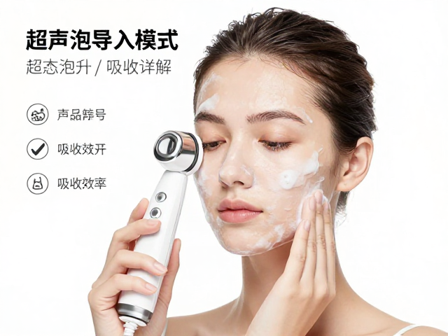 数据记录与吸收效率的量化评估