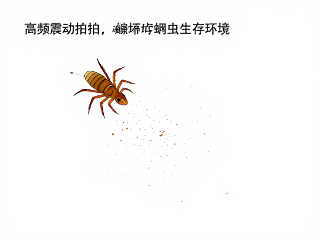 高频震动拍打破坏螨虫生存环境，高效过滤过敏原除螨攻略