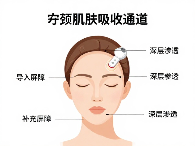 打开肌肤吸收通道，面部补水导入仪器让营养深层渗透