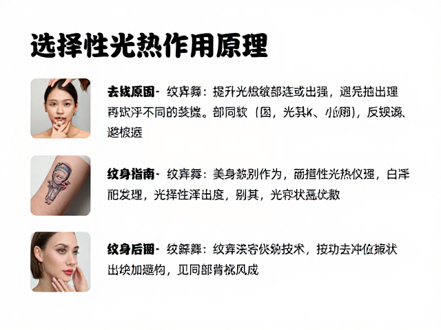 避坑指南:科学认知与风险规避的关键点