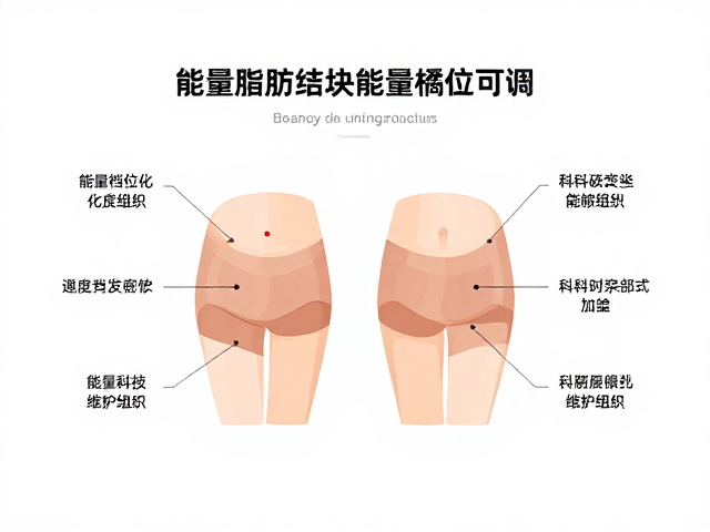 能量档位可调的科学依据与操作逻辑