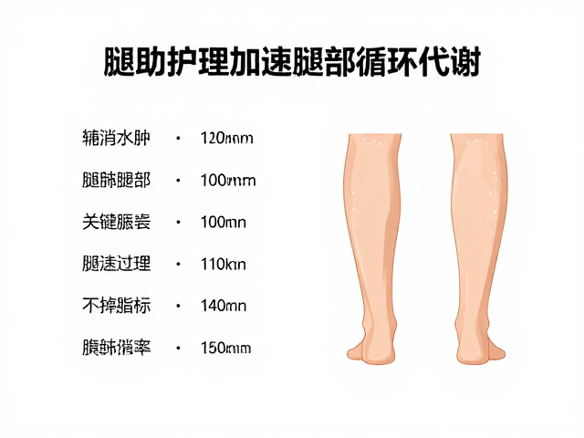 关键参数与安全性指标评估
