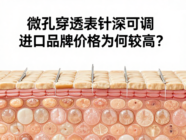 进口品牌的高价逻辑与供应链成本