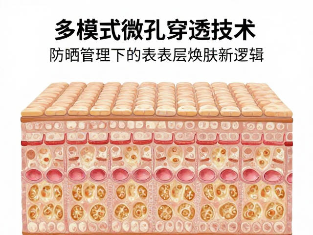 防晒管理中的协同增效机制与科学验证