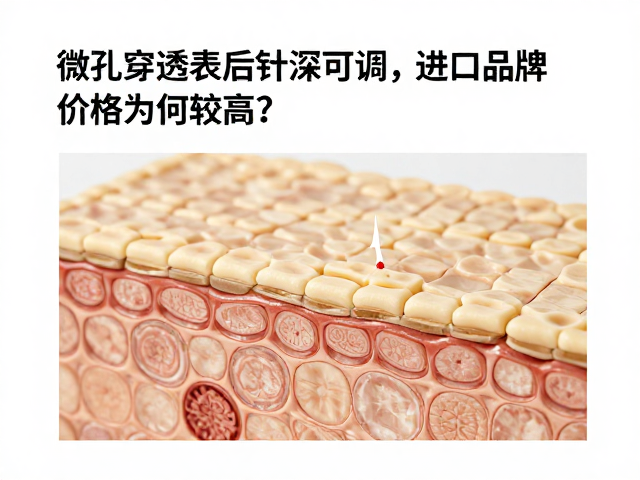 价格差异背后的技术壁垒与合规门槛