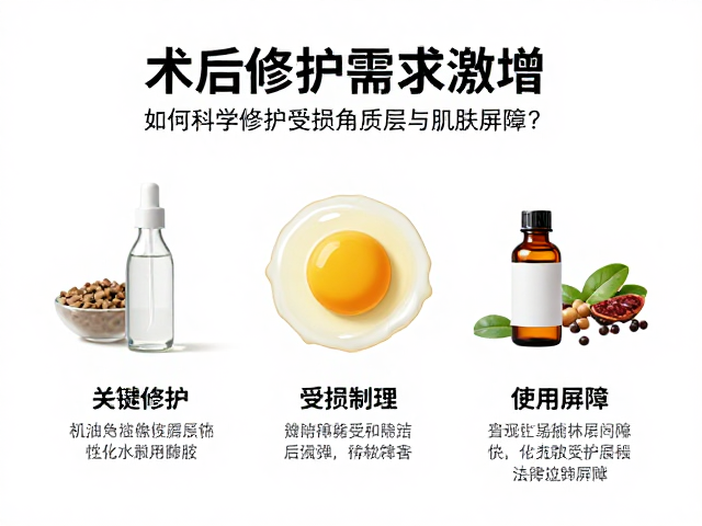 关键修护成分的作用机理与应用