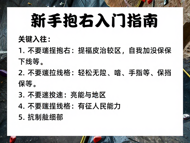 新手抱石入门指南,垂直墙线路选择与体验区安全攻略