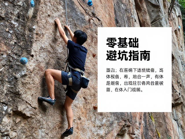 零基础避坑指南，速度攀岩运动介绍与入门技巧