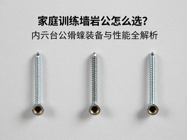 家庭训练墙岩点防滑怎么选?内六角螺丝安装与性能全解析