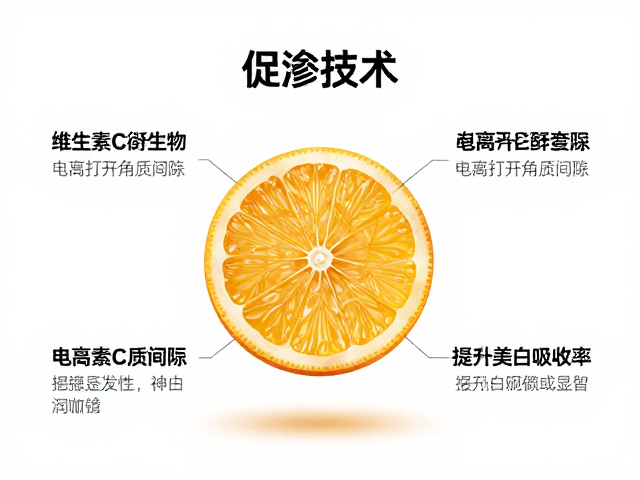 维生素C衍生物的稳定性与转化机制