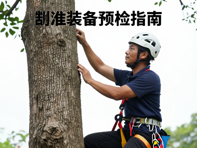 攀树活动前必做，装备预检指南，认准制造商授权人员确保安全