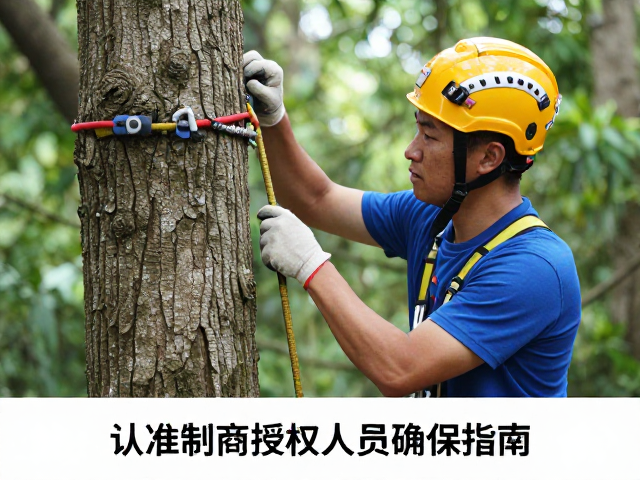 攀树活动前必做，装备预检指南，认准制造商授权人员确保安全