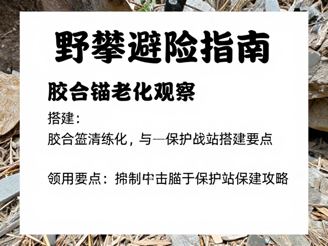 野攀避险指南,胶合锚老化观察与保护站搭建要点