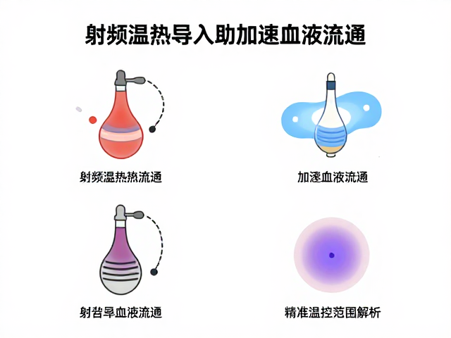 导入效率提升的渗透动力学分析