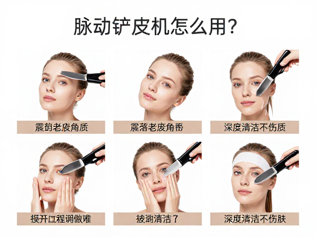 标准操作流程与关键步骤