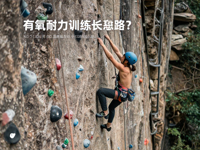攀岩初学者如何通过有氧耐力训练应对多段长线路?