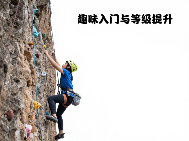 亲子协作攀岩，从趣味入门到等级提升的全攻略