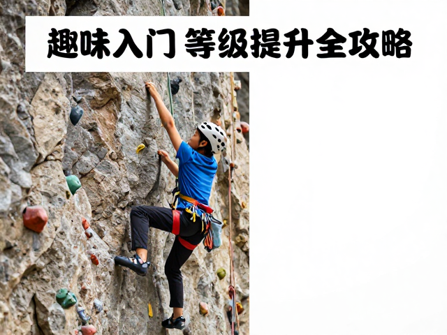 亲子协作攀岩，从趣味入门到等级提升的全攻略