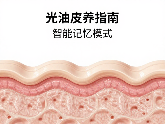 综合保养指南与日常维护要点