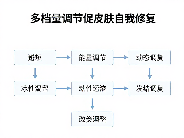 个性化评估与动态调整流程