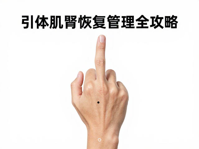 动态爆发引体高度提升，手指肌腱恢复管理全攻略