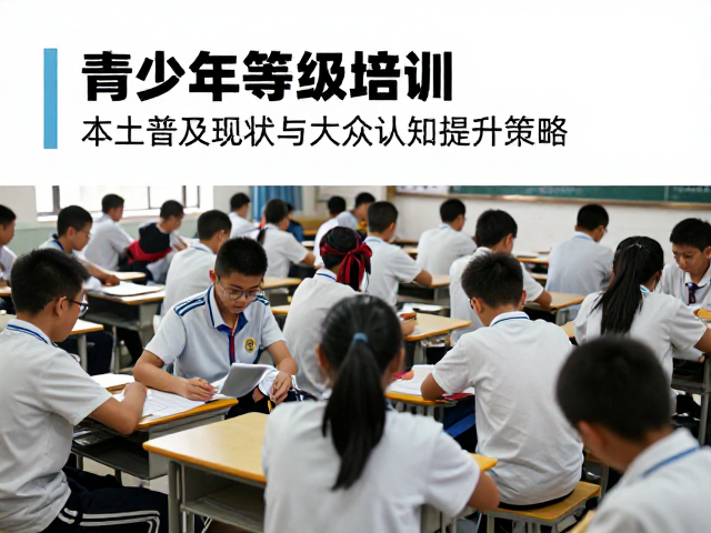 青少年等级培训,本土普及现状与大众认知提升策略