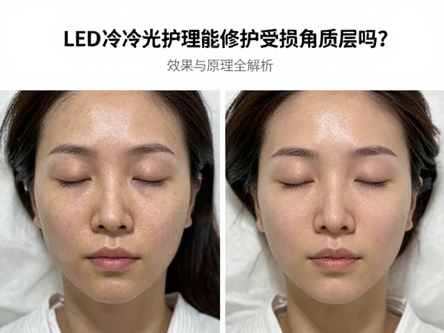 效果表现与适用人群分析