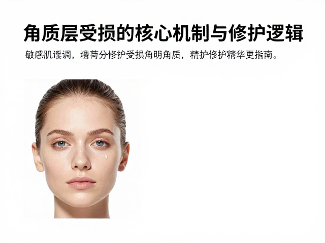 角质层受损的核心机制与修护逻辑