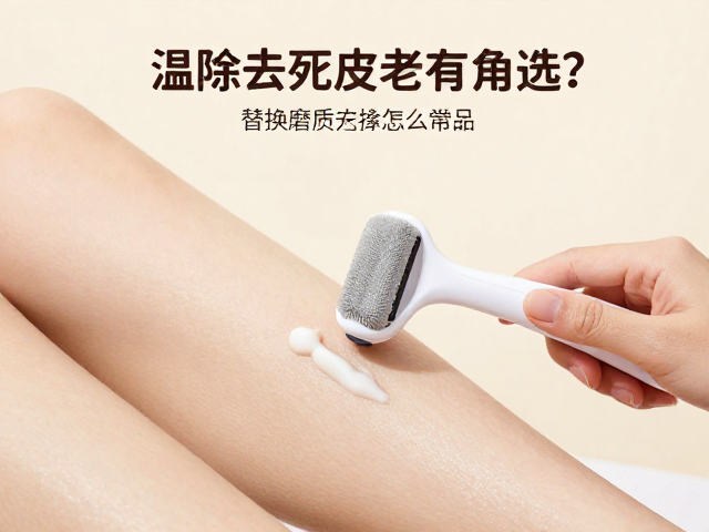 日常维护与卫生管理要点