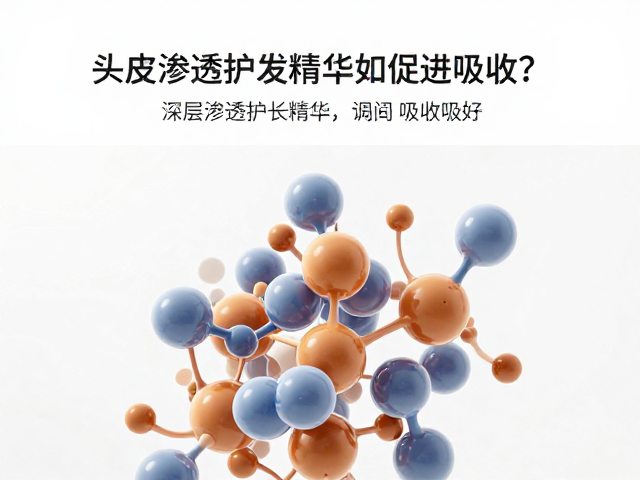 渗透机制与分子结构的关键作用