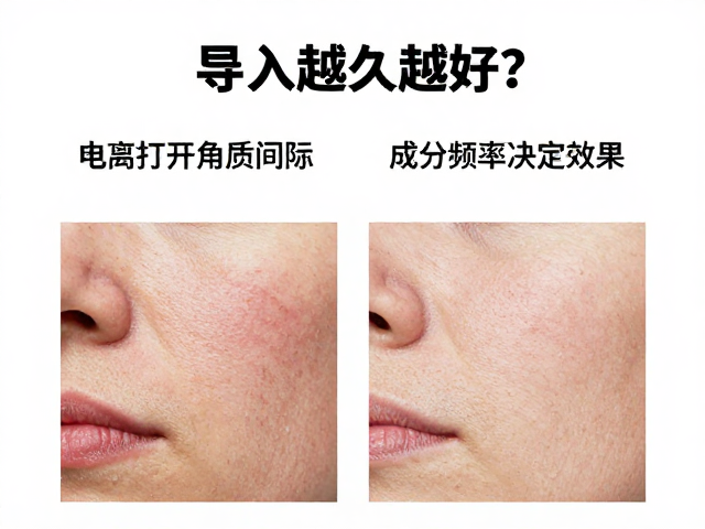 成分频率与电荷特性：决定渗透效率的关键变量